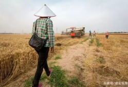 寸草不留,荒芜之地的重生与希望